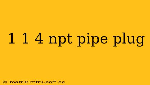 1 1 4 npt pipe plug