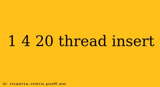 1 4 20 thread insert