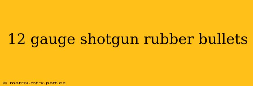 12 gauge shotgun rubber bullets