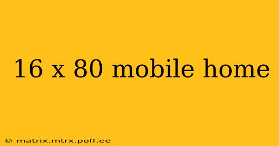 16 x 80 mobile home