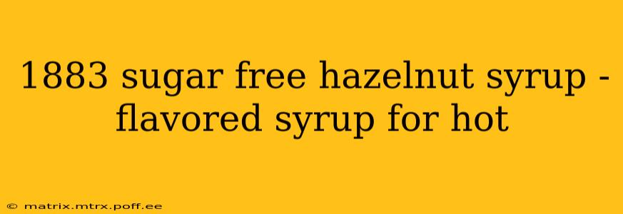 1883 sugar free hazelnut syrup - flavored syrup for hot