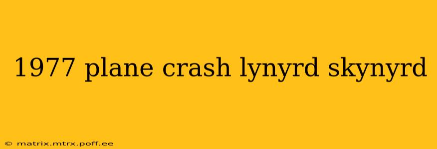 1977 plane crash lynyrd skynyrd