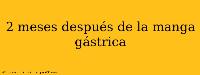 2 meses después de la manga gástrica