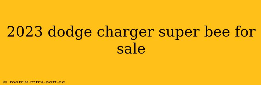 2023 dodge charger super bee for sale