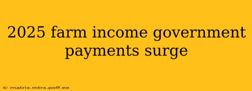 2025 farm income government payments surge