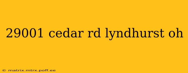 29001 cedar rd lyndhurst oh