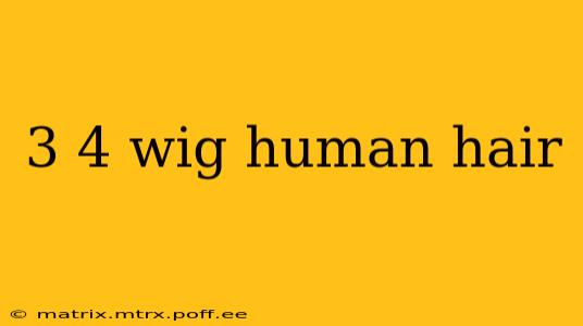3 4 wig human hair