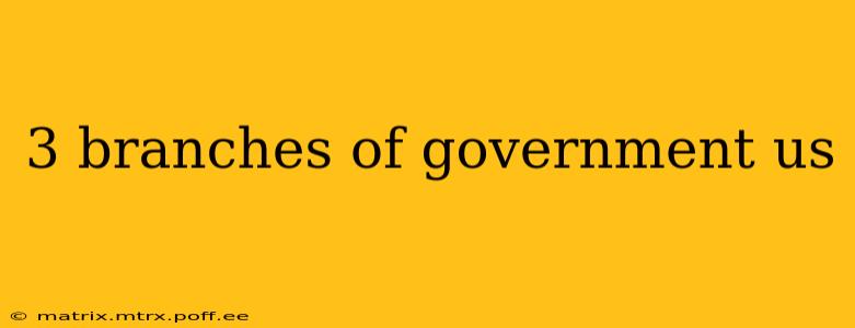3 branches of government us