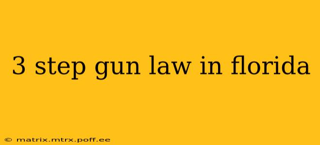 3 step gun law in florida
