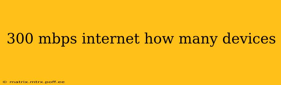 300 mbps internet how many devices