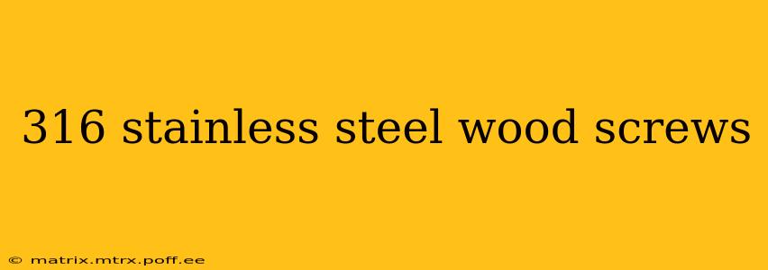 316 stainless steel wood screws