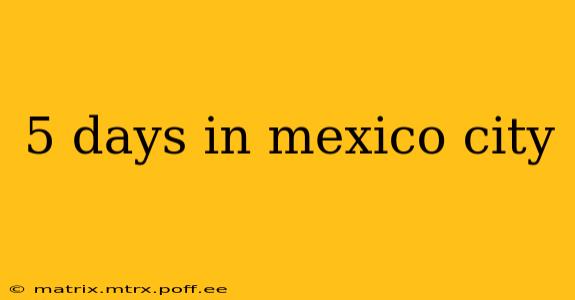 5 days in mexico city