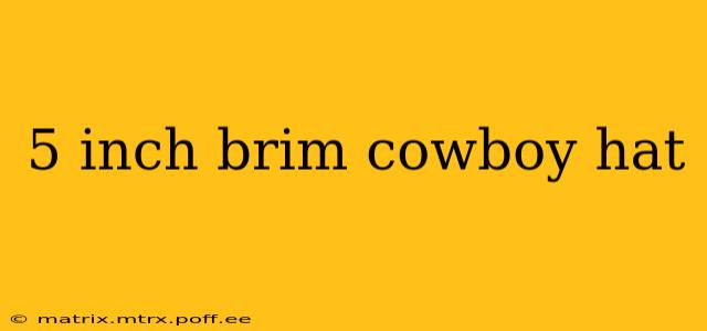 5 inch brim cowboy hat