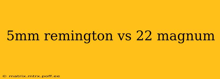 5mm remington vs 22 magnum