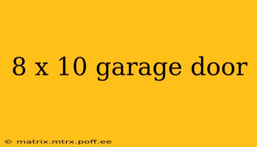 8 x 10 garage door