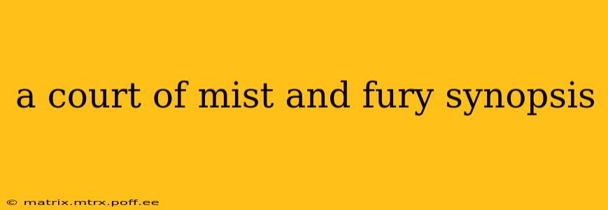 a court of mist and fury synopsis