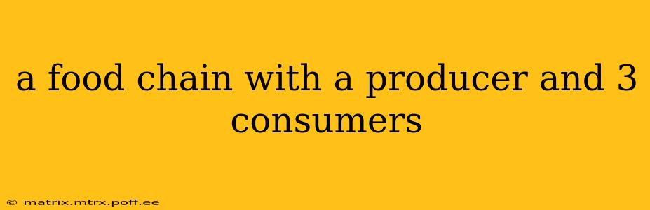 a food chain with a producer and 3 consumers