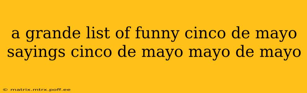 a grande list of funny cinco de mayo sayings cinco de mayo mayo de mayo