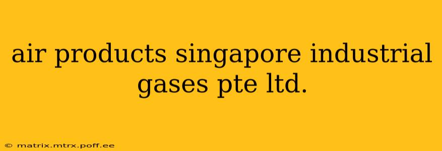 air products singapore industrial gases pte ltd.