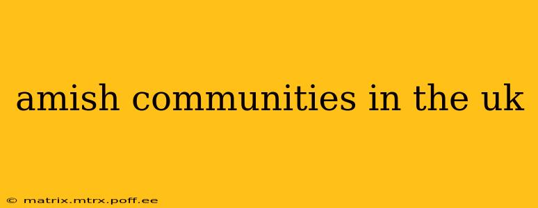 amish communities in the uk