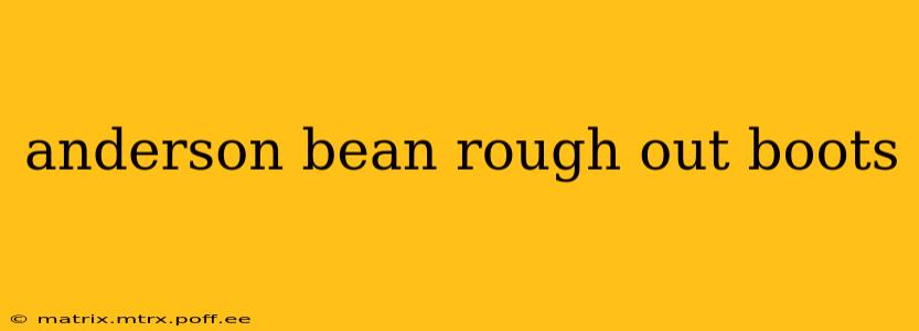 anderson bean rough out boots