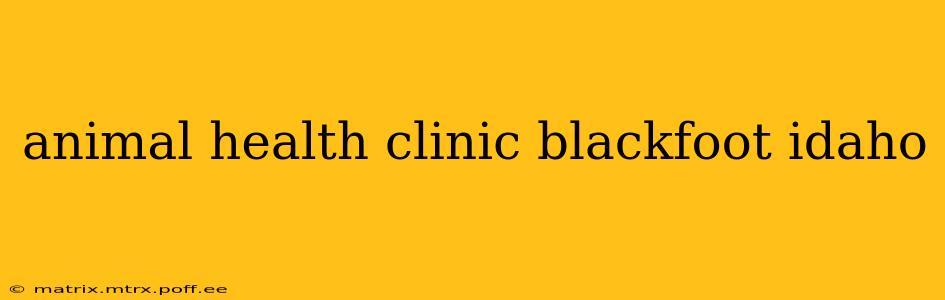 animal health clinic blackfoot idaho
