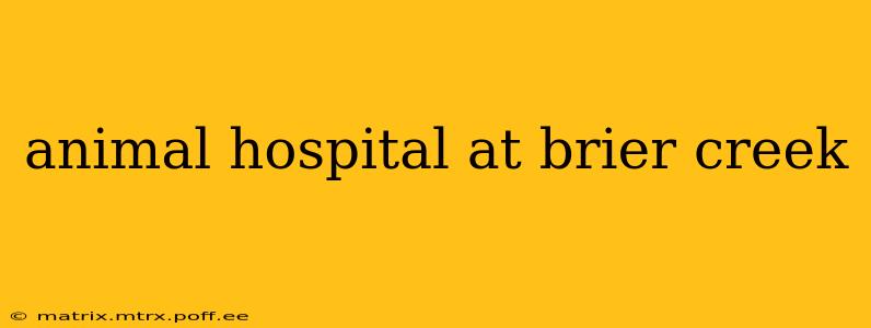 animal hospital at brier creek