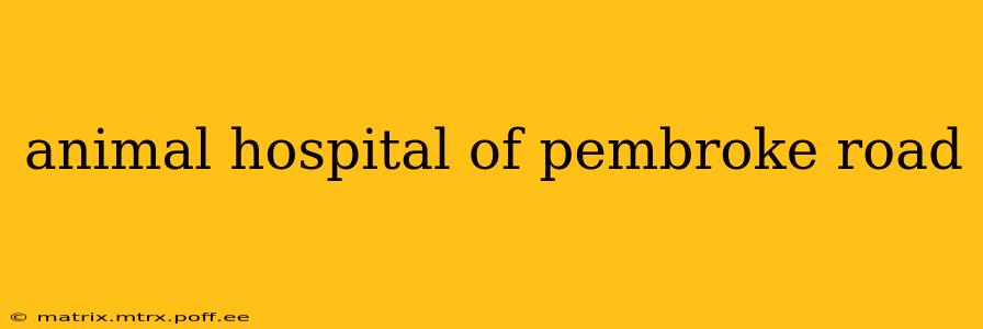 animal hospital of pembroke road