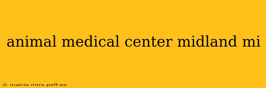 animal medical center midland mi