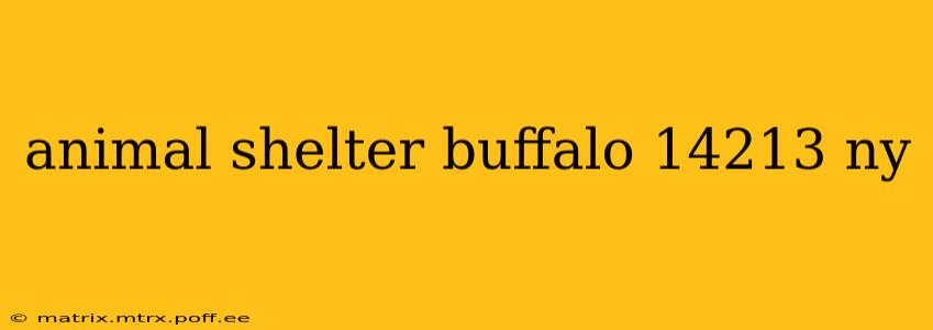animal shelter buffalo 14213 ny