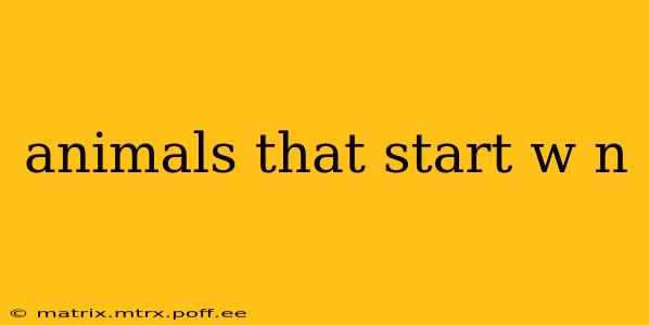 animals that start w n