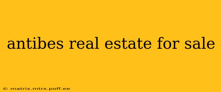 antibes real estate for sale