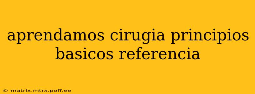 aprendamos cirugia principios basicos referencia