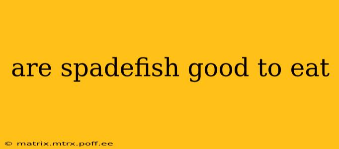 are spadefish good to eat
