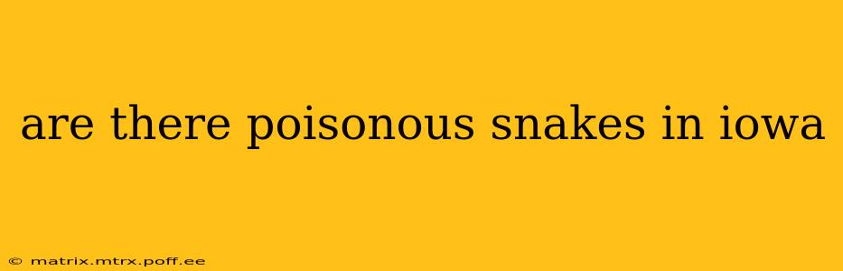are there poisonous snakes in iowa