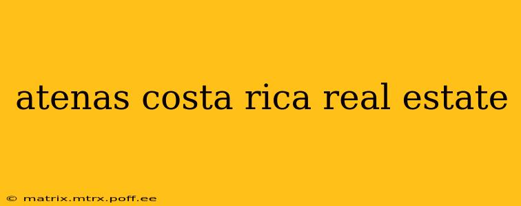 atenas costa rica real estate