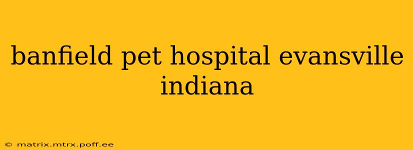 banfield pet hospital evansville indiana