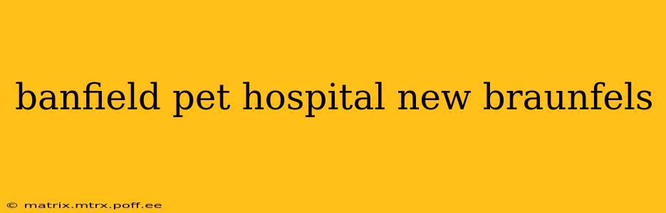 banfield pet hospital new braunfels
