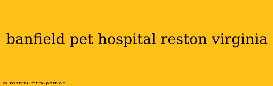 banfield pet hospital reston virginia