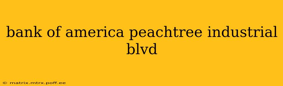 bank of america peachtree industrial blvd