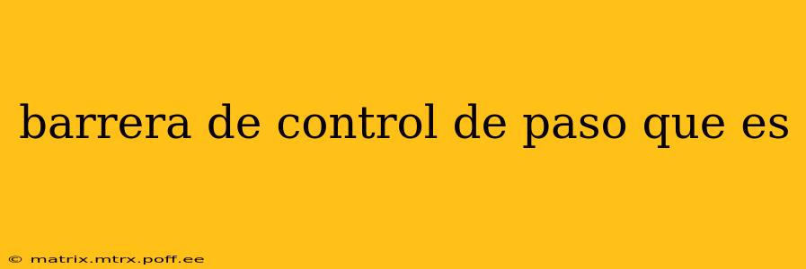 barrera de control de paso que es