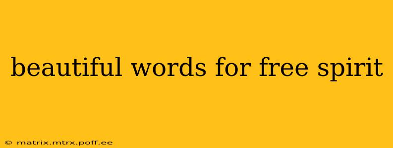 beautiful words for free spirit