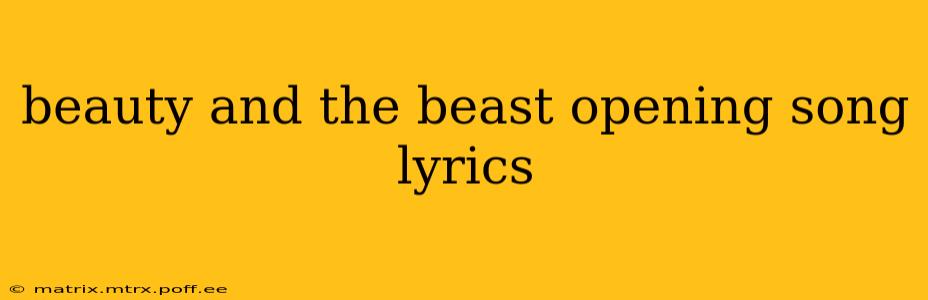 beauty and the beast opening song lyrics