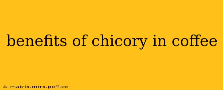 benefits of chicory in coffee