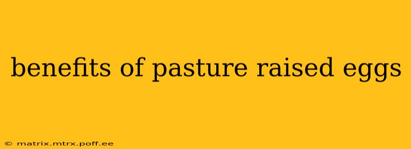 benefits of pasture raised eggs