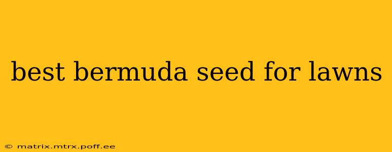 best bermuda seed for lawns
