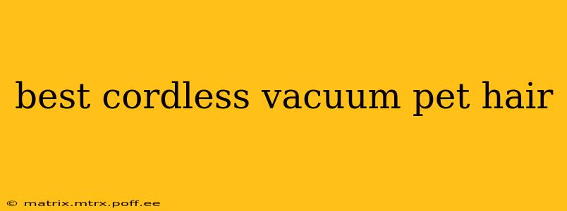 best cordless vacuum pet hair