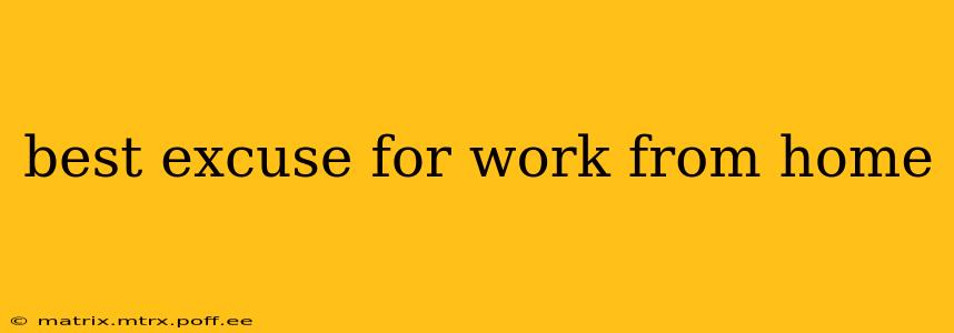 best excuse for work from home