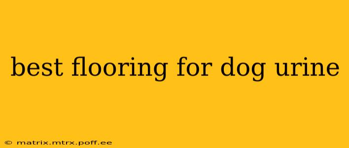 best flooring for dog urine