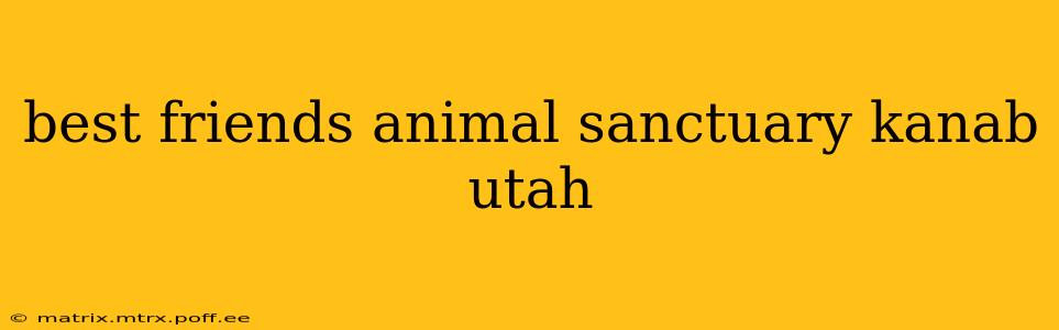 best friends animal sanctuary kanab utah